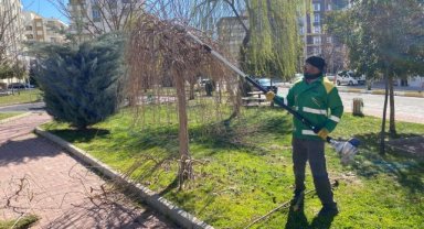 Karaköprü'de Yeşil Alanlar İçin Ağaç Budama Çalışmaları Devam Ediyor