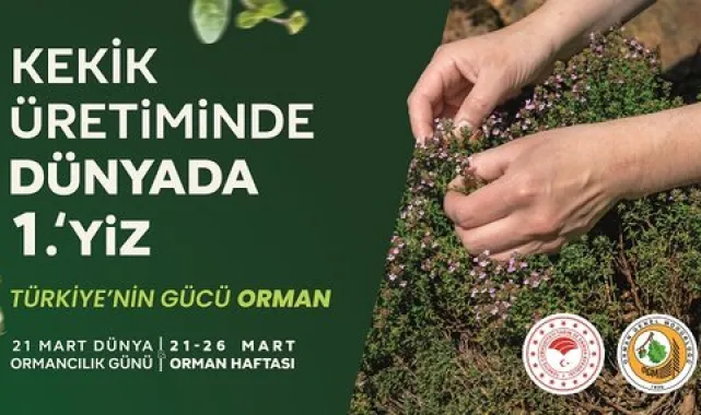 Şanlıurfa Orman Bölge Müdürlüğü: Toprakla Bağımız Geleceğimizi Şekillendiriyor