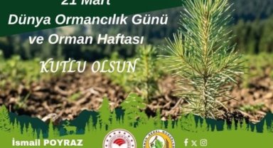 Şanlıurfa Orman Bölge Müdürlüğü'nden 21 Mart Dünya Ormancılık Günü Mesajı