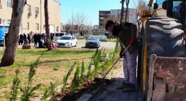Viranşehir'de Antin Park ve Kültür Merkezi'nde Peyzaj Çalışmaları Devam Ediyor
