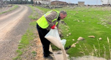 Viranşehir'de Yaz Aylarında Haşereyle Mücadele Kapsamında Dere Yataklarında İlaçlama Yapıldı