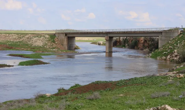Ceylanpınar Belediyesi Eşbaşkanı Kahraman, Kepez Piknik Alanı'nda Vatandaşlarla Buluştu