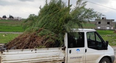 Ceylanpınar'da Biyoçeşitliliği Artırma Seferberliği Devam Ediyor