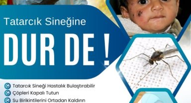 Ceylanpınar'da Şark Çıbanı Tehlikesi: Belediyeden İlaçlama ve Tedbir Çağrısı