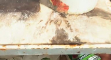 Eyyübiye Belediyesi Zabıtasından Halk Sağlığı Denetimi