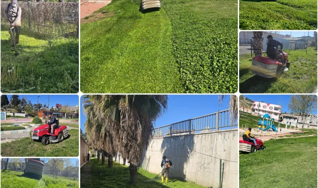 Eyyübiye'de Parklarda Ot Biçme Çalışmaları Aralıksız Devam Ediyor