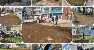 Eyyübiye'de Yeşil Alanlar Bakıma Alındı, Çiçekler Dikildi