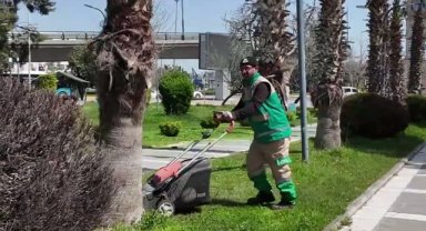 Haliliye'de Parklar Yeşil Kalıyor: Çim Biçme ve Peyzaj Çalışmaları Devam Ediyor