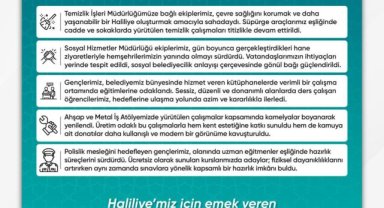 Haliliye'de Yeşil Alanlar Ağaç Dikim Çalışmalarıyla Artıyor
