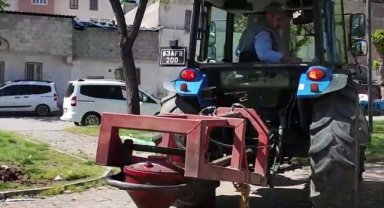 Haliliye'de Yeşil Alanlar Artıyor: Ağaç Dikimi Çalışmaları Devam Ediyor