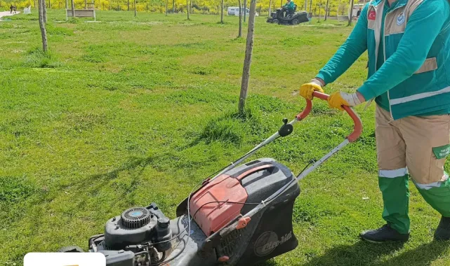 Haliliye'de Yeşil Alanlar Yeniden Düzenleniyor