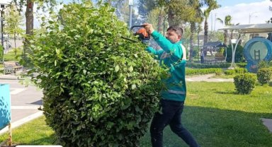 Haliliye'de Yeşil Alanlar Yenileniyor, Estetik Katılıyor