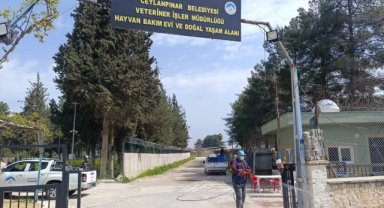 Harran Üniversitesi'nden Prof. Dr. Ömer Korkmaz Ceylanpınar Hayvan Bakımevi'ni Ziyaret Etti