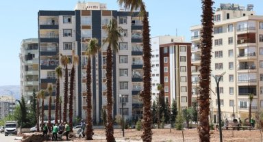 Karaköprü'de Yeşil Alanlar Genişliyor: Nihat Çiftçi Ağaç Dikim Çalışmalarını İnceledi