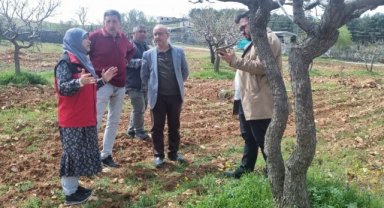 Şanlıurfa'da Fıstık ve Zeytin Bahçelerinde Üreticilere Teknik Destek