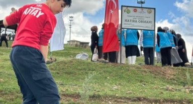 Siirt'te Diyanet Vakfı Hatıra Ormanı'nda Fidan Dikimi Gerçekleştirildi