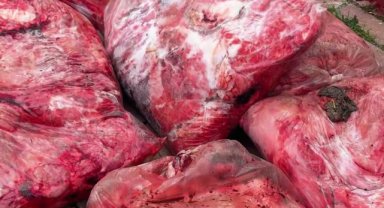 Viranşehir'de Halk Sağlığı İçin Ortak Denetim: Bozuk Et ve Sakatat Ele Geçirildi