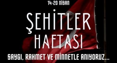 Viranşehir'de Şehitler Haftası Anma Etkinliği: Milli Eğitim Müdürü Çetin Gören'den Mesaj