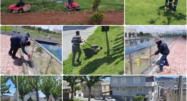 Eyyübiye'de Yeşil Alanlar Yenileniyor: Bakım ve Temizlik Çalışmaları Sürüyor