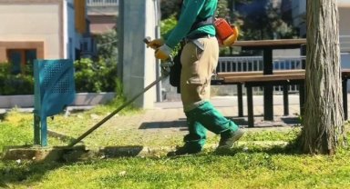 Haliliye'de Yeşil Alanlar Yeniden Düzenleniyor: Ali Balak Parkı'nda Çalışmalar Sürüyor