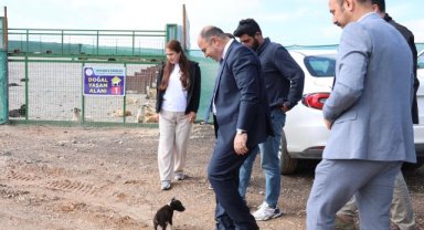 Karaköprü'de Hayvan Bakımevi ve Rehabilitasyon Merkezi İnşaatı İncelemesi