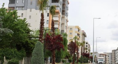 Karaköprü'de Yeşil Alanlar Genişliyor: Akpiyar Mahallesi'ne Palmiye Ağaçları Dikildi
