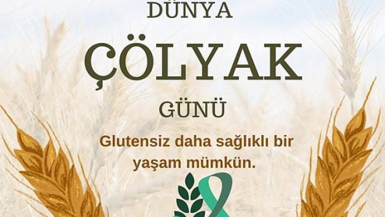 Viranşehir Devlet Hastanesi'nden Dünya Çölyak Günü Mesajı